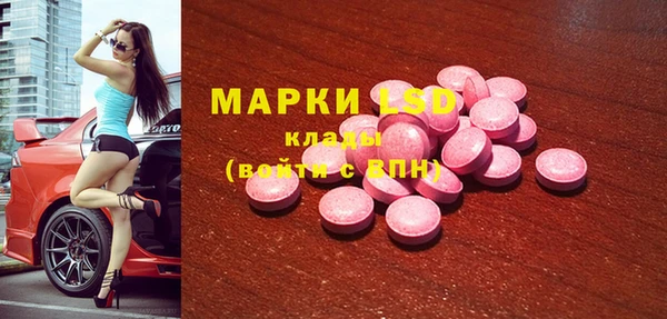 спайс Алзамай