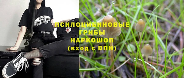 спайс Алзамай